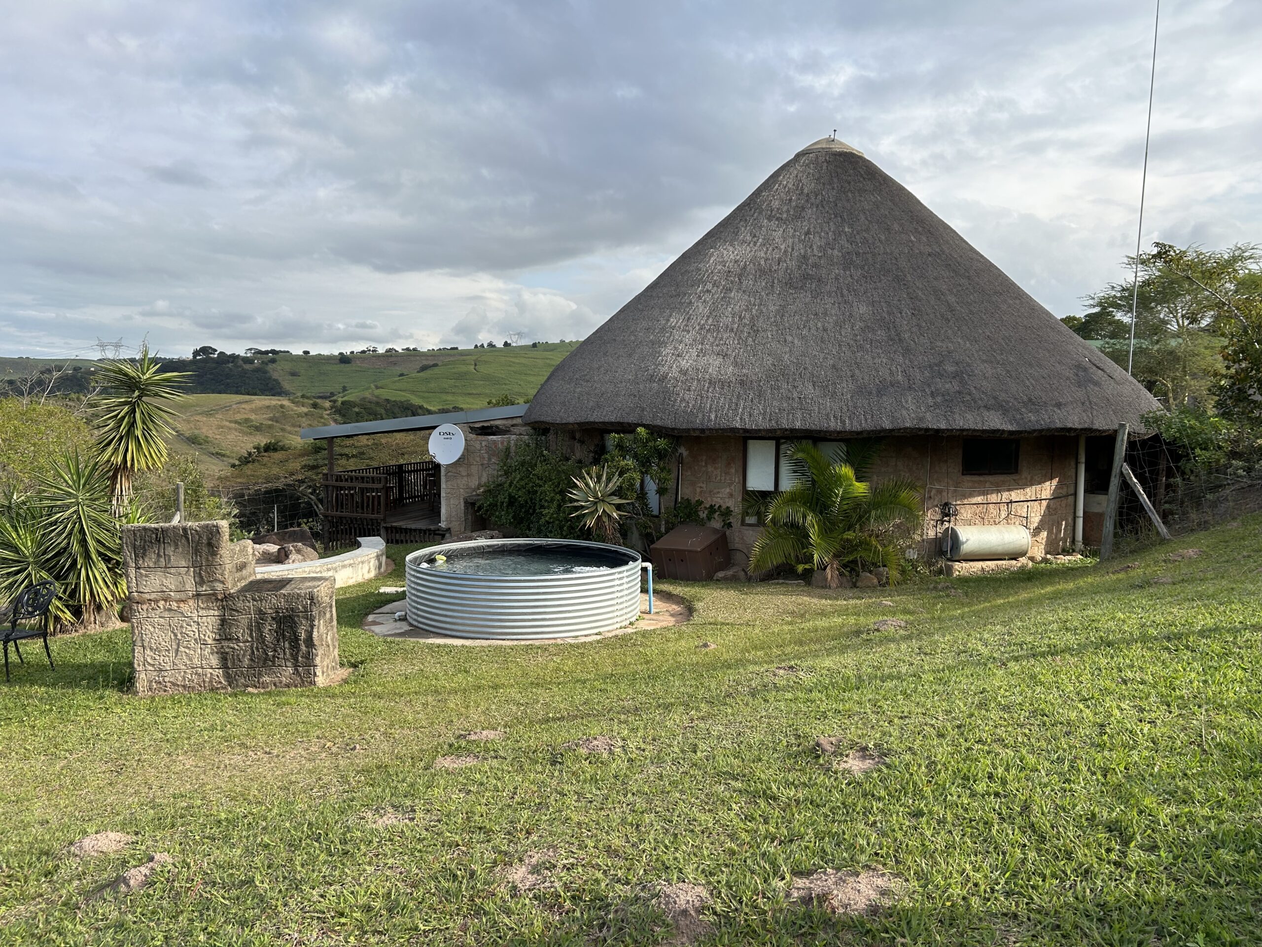 wildebeest main picture