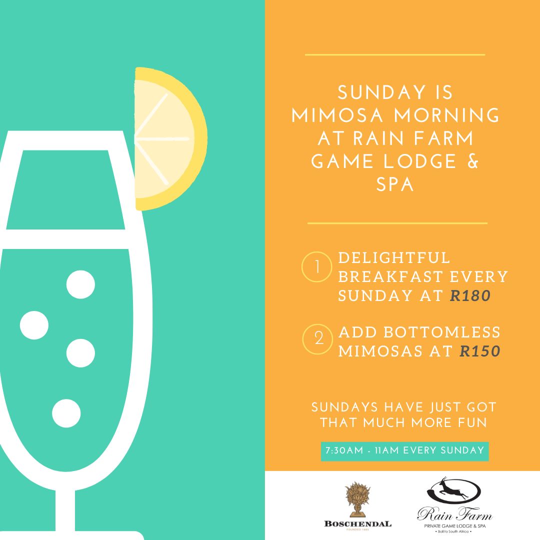 WhatsApp Image 2024-06-19 at 16.06.56